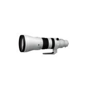 Sigma 300-600mm f/4 DG OS Sports for Sony E