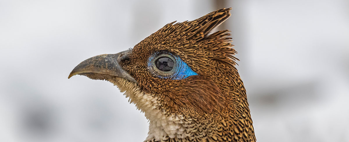 Bhutan- A Dream Destination for All Photographers!