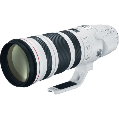 Canon EF 200-400mm f/4L IS USM Extender 1.4x for sale 