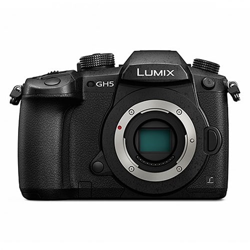 Panasonic Lumix GH5S for sale 