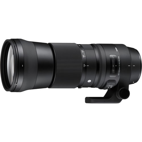 Sigma 150-600mm f/5-6.3 DG OS HSM C for Canon  for sale 